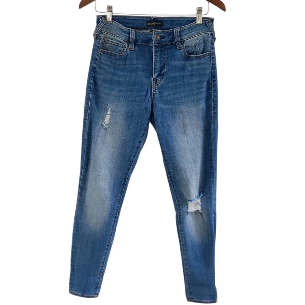 True Religion Jeans Womens Size 28 Blue Jennie Curvy Mid Rise Skinny Stretch